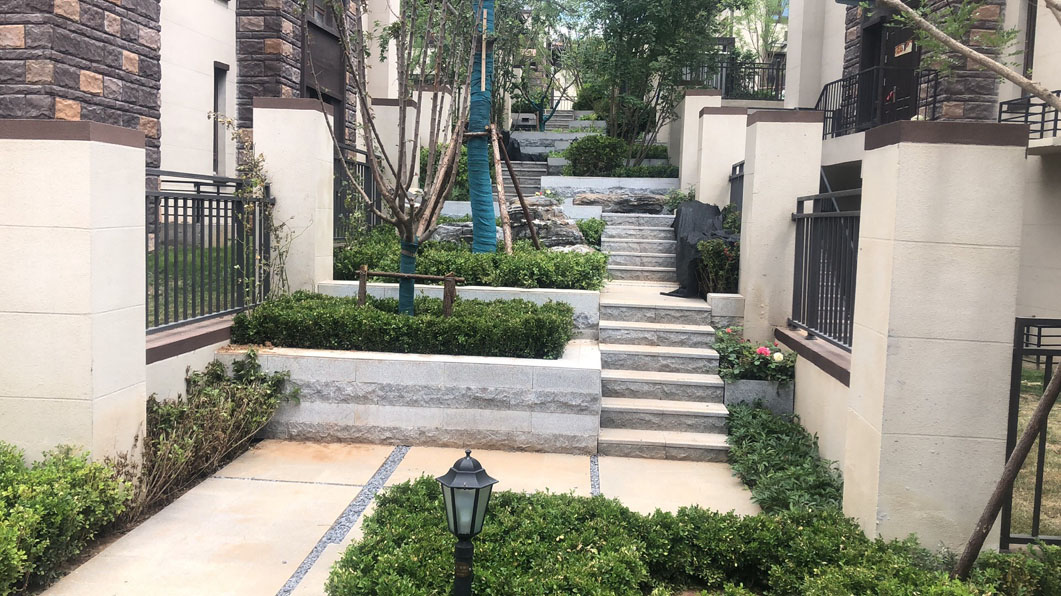 ����һ����Ŀ����