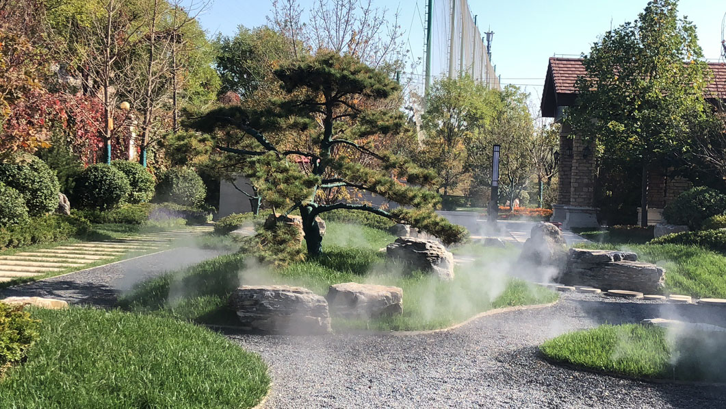 ����һ����Ŀ����ˢ�¹���