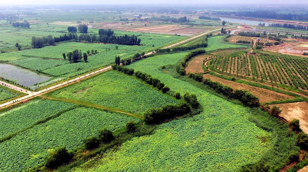 ��ͨ��԰���̻����������ۺ����� ʵ�鲽�������У�