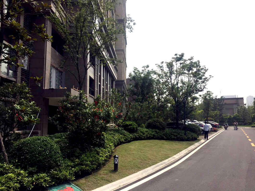 ��ͨ��ï��Ԫ��Ŀ