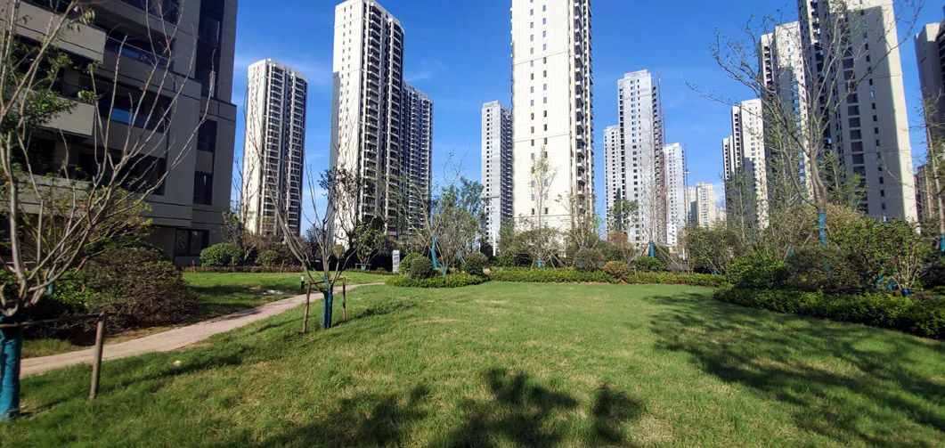 ������ó����01�ؿ�